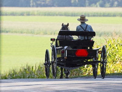 Amish carriage on back road of Lancaster, PA